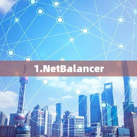 1.NetBalancer 1.NetBalancer