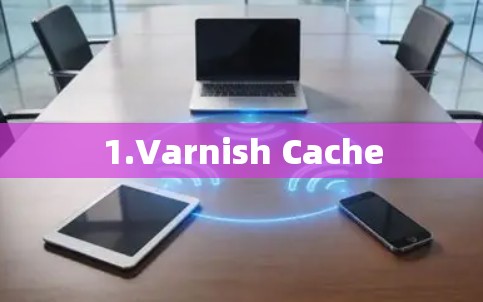 1.Varnish Cache