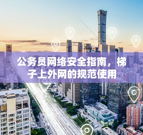 公务员网络安全指南,梯子上外网的规范使用