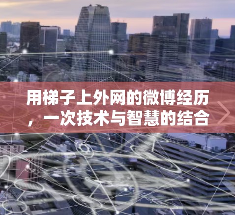 用梯子上外网的微博经历,一次技术与智慧的结合 用梯子上外网的微博经历,一次技术与智慧的结合