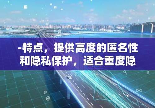 -特点,提供高度的匿名性和隐私保护,适合重度隐私需求的用户