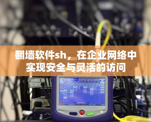 翻墙软件sh,在企业网络中实现安全与灵活的访问