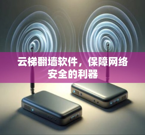 云梯翻墙软件,保障网络安全的利器