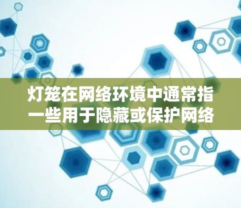 灯笼在网络环境中通常指一些用于隐藏或保护网络活动的工具,例如