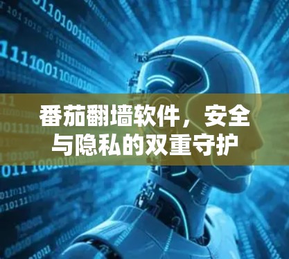 番茄翻墙软件，安全与隐私的双重守护