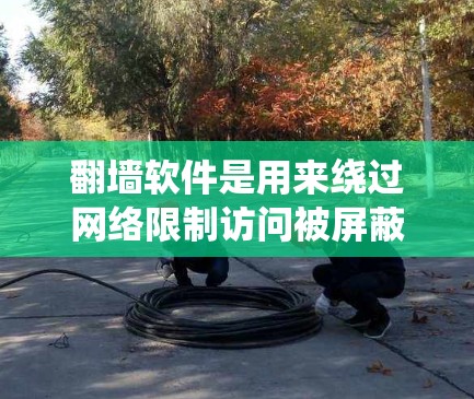 翻墙软件是用来绕过网络限制访问被屏蔽网站的工具。以下是电脑端常用的翻墙软件及其关键信息