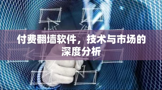 付费翻墙软件,技术与市场的深度分析