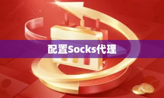 配置Socks代理