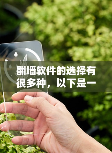 翻墙软件的选择有很多种,以下是一些常见的免费翻墙软件和工具