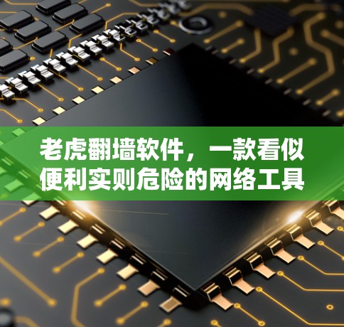 老虎翻墙软件,一款看似便利实则危险的网络工具