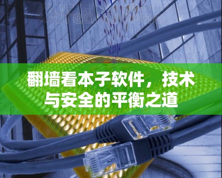 翻墙看本子软件,技术与安全的平衡之道