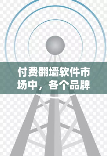 付费翻墙软件市场中,各个品牌和工具根据用户反馈、功能强度、隐私保护以及价格等多个因素,会有不同的排行。以下是一些常见的付费翻墙软件及其大致排名(根据一些用户调查和市场反馈整理而来)
