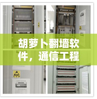 胡萝卜翻墙软件,通信工程师的秘密武器