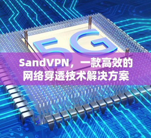 SandVPN,一款高效的网络穿透技术解决方案