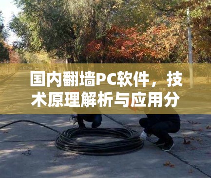 国内翻墙PC软件,技术原理解析与应用分析