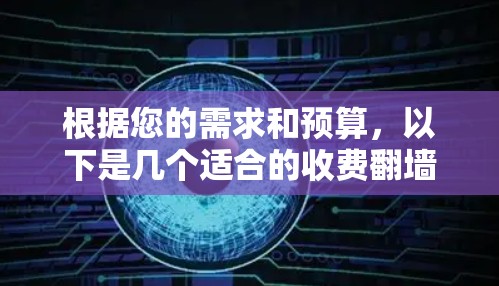 根据您的需求和预算,以下是几个适合的收费翻墙软件推荐