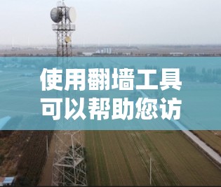 使用翻墙工具可以帮助您访问受地区限制的网站,但也需要谨慎选择和使用,以确保安全和合法性。以下是对常见翻墙软件的分析和建议