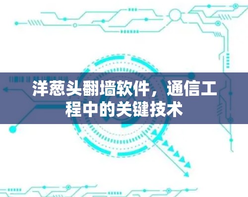 洋葱头翻墙软件，通信工程中的关键技术