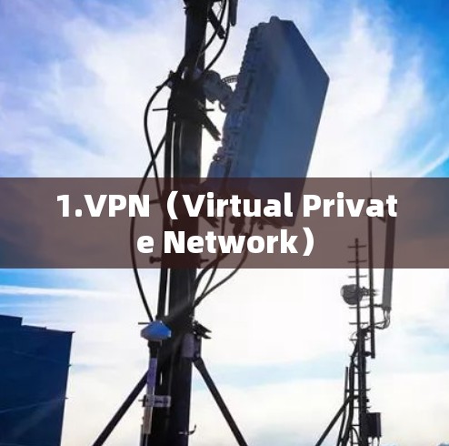 1.VPN(Virtual Private Network)