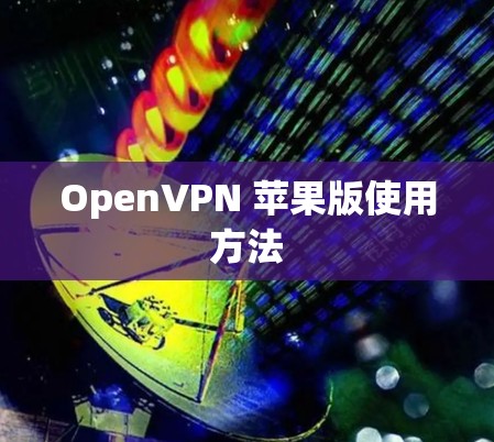 OpenVPN 苹果版使用方法 OpenVPN 苹果版使用方法