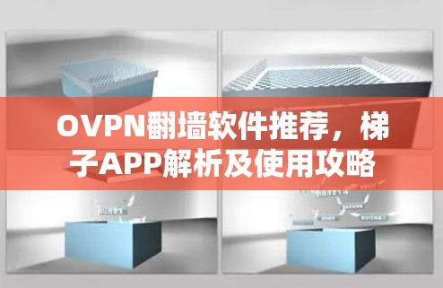 OVPN翻墙软件推荐,梯子APP解析及使用攻略 OVPN翻墙软件推荐,梯子APP解析及使用攻略