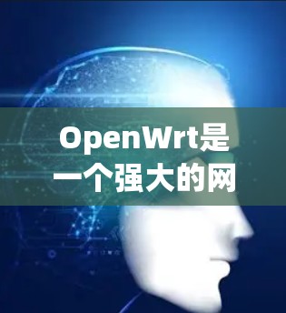OpenWrt是一个强大的网络设备管理工具,提供了多种命令行工具来帮助用户管理和配置网络设备。以下是对这些工具的详细介绍和使用方法