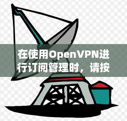 在使用OpenVPN进行订阅管理时，请按照以下步骤进行