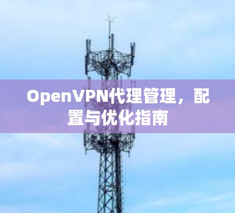 OpenVPN代理管理,配置与优化指南