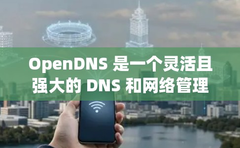 OpenDNS 是一个灵活且强大的 DNS 和网络管理平台,能够帮助用户管理 DNS 记录、网络流量、安全设置等。以下是一个 OpenDNS 配置教程,分步骤指导如何配置 OpenDNS