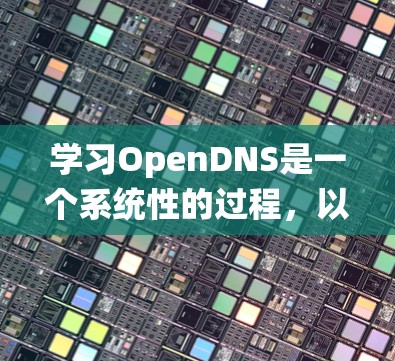 学习OpenDNS是一个系统性的过程,以下是分步骤的指南,帮助您逐步掌握OpenDNS的使用方法