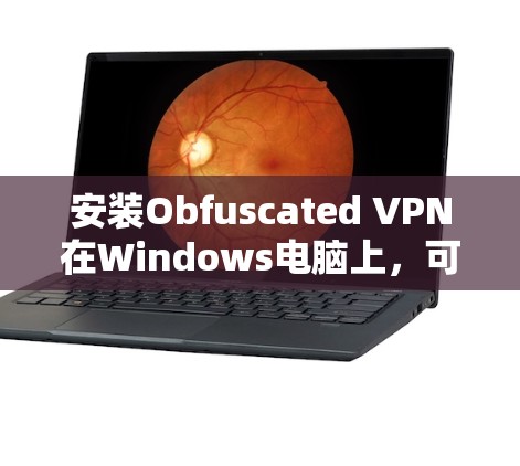 安装Obfuscated VPN在Windows电脑上,可以按照以下步骤进行