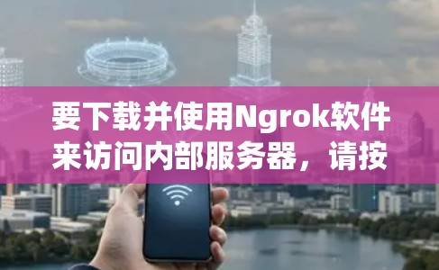 要下载并使用Ngrok软件来访问内部服务器,请按照以下步骤操作