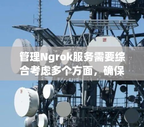 管理Ngrok服务需要综合考虑多个方面，确保其稳定、高效和安全运行。以下是对管理Ngrok服务的系统总结