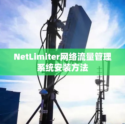 NetLimiter网络流量管理系统安装方法 NetLimiter网络流量管理系统安装方法