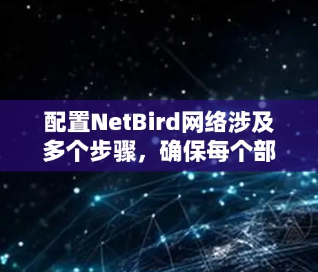 配置NetBird网络涉及多个步骤，确保每个部分都正确执行可以有效管理和优化您的网络。以下是详细的步骤指南