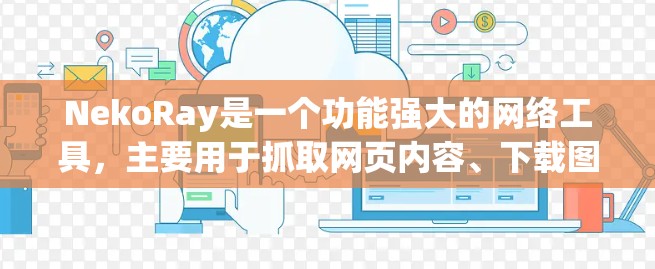 NekoRay是一个功能强大的网络工具，主要用于抓取网页内容、下载图片、视频和文件。以下是对NekoRay的详细分析和总结