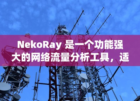 NekoRay 是一个功能强大的网络流量分析工具,适用于网络优化、安全监控等多种场景。以下是使用 NekoRay 的分步指南