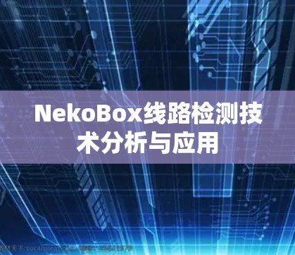 NekoBox线路检测技术分析与应用 NekoBox线路检测技术分析与应用