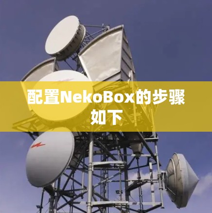 配置NekoBox的步骤如下 配置NekoBox的步骤如下
