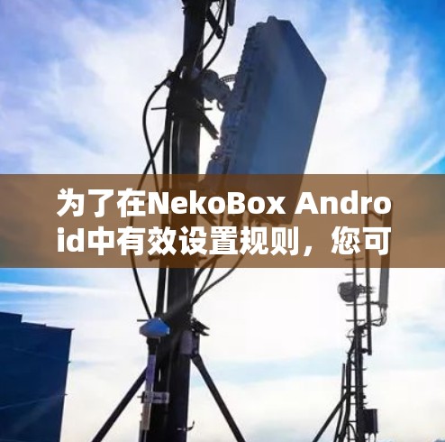 为了在NekoBox Android中有效设置规则,您可以按照以下步骤进行操作 为了在NekoBox Android中有效设置规则,您可以按照以下步骤进行操作