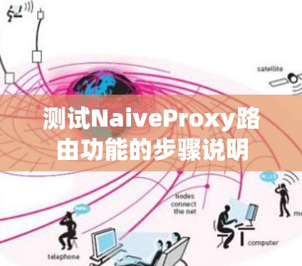 测试NaiveProxy路由功能的步骤说明