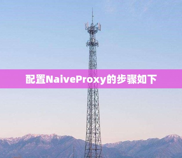 配置NaiveProxy的步骤如下