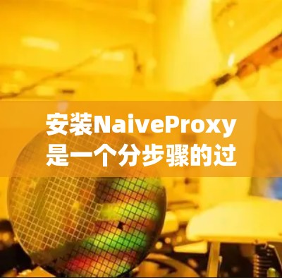 安装NaiveProxy是一个分步骤的过程,确保每一步都正确执行是关键。以下是详细的安装步骤 安装NaiveProxy是一个分步骤的过程,确保每一步都正确执行是关键。以下是详细的安装步骤