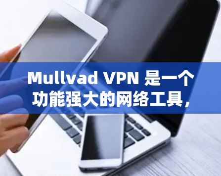 Mullvad VPN 是一个功能强大的网络工具,适用于多种场景,包括隐私保护、安全访问、网络监控和合规性。以下是使用Mullvad VPN的详细指南