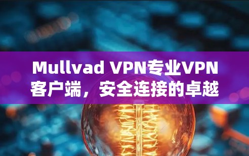 Mullvad VPN专业VPN客户端,安全连接的卓越选择 Mullvad VPN专业VPN客户端,安全连接的卓越选择