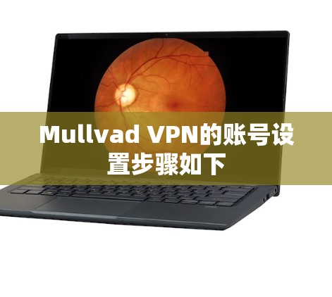 Mullvad VPN的账号设置步骤如下 Mullvad VPN的账号设置步骤如下