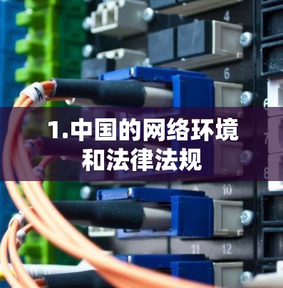1.中国的网络环境和法律法规 1.中国的网络环境和法律法规