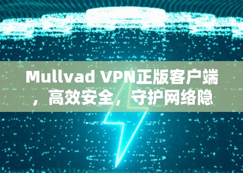 Mullvad VPN正版客户端，高效安全，守护网络隐私