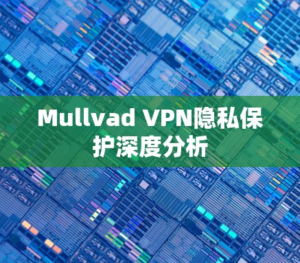 Mullvad VPN隐私保护深度分析