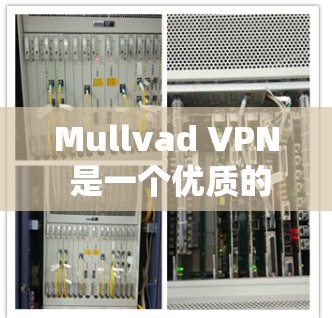 Mullvad VPN 是一个优质的选择,适合追求隐私和安全的用户。以下是对其的详细分析